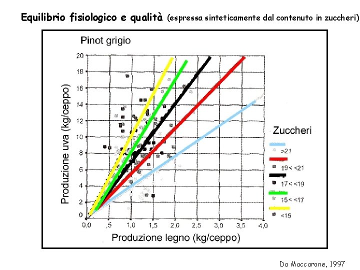 Equilibrio fisiologico e qualità (espressa sinteticamente dal contenuto in zuccheri) Da Maccarone, 1997 