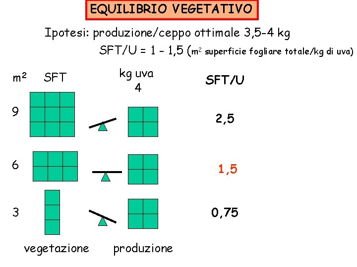 EQUILIBRIO VEGETATIVO Ipotesi: produzione/ceppo ottimale 3, 5 -4 kg SFT/U = 1 - 1,