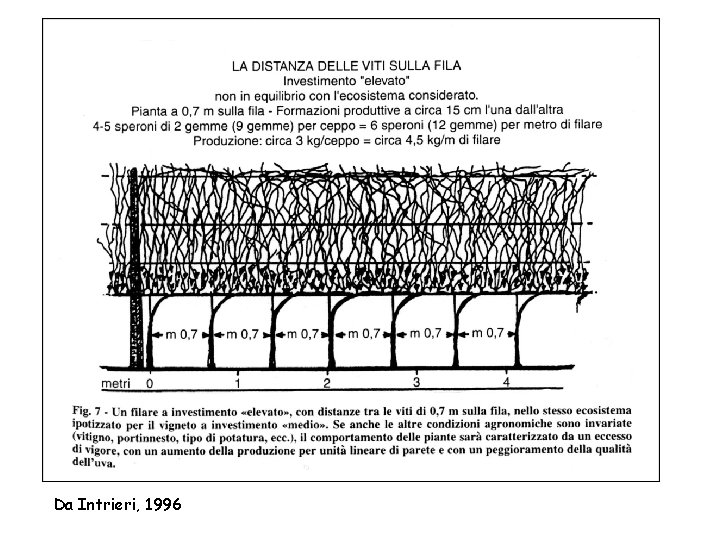 Da Intrieri, 1996 