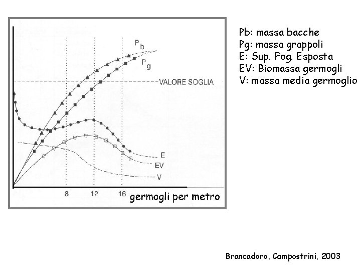 Pb: massa bacche Pg: massa grappoli E: Sup. Fog. Esposta EV: Biomassa germogli V: