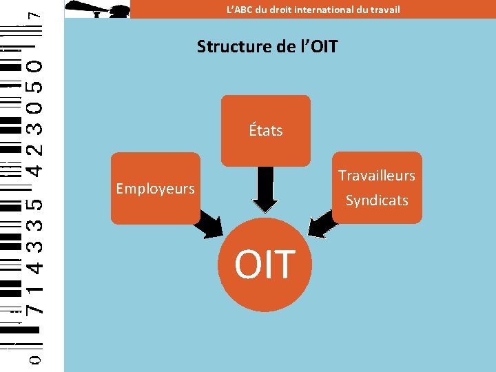 L’ABC du droit international du travail Structure de l’OIT États Travailleurs Syndicats Employeurs OIT