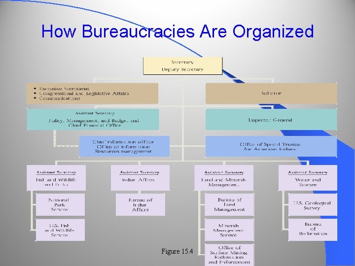 How Bureaucracies Are Organized Figure 15. 4 