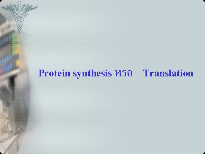 Protein synthesis หรอ Translation 