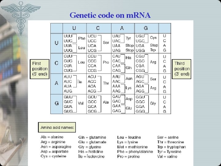 Genetic code on m. RNA 