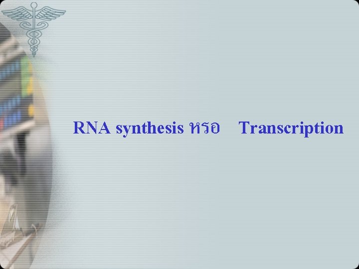 RNA synthesis หรอ Transcription 