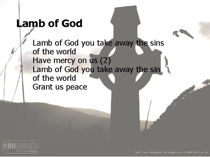 Lamb of God you take away the sins of the world Have mercy on Lamb of God you take away the sins of the world Have mercy on
