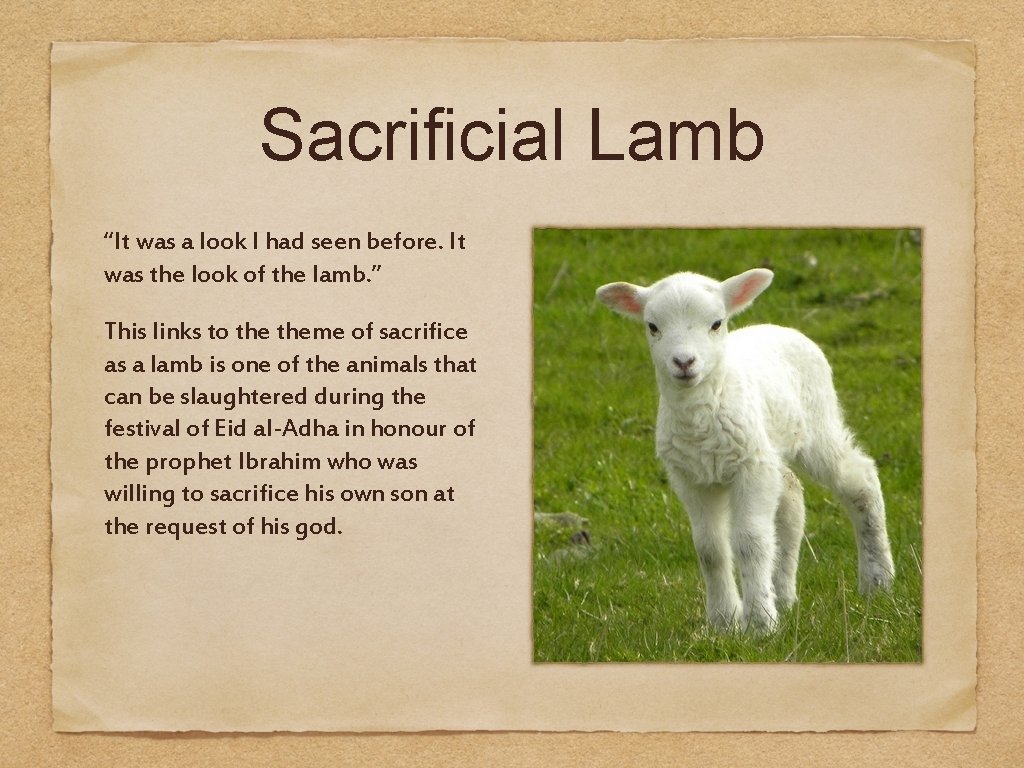 Sacrificial Lamb “It was a look I had seen before. It was the look