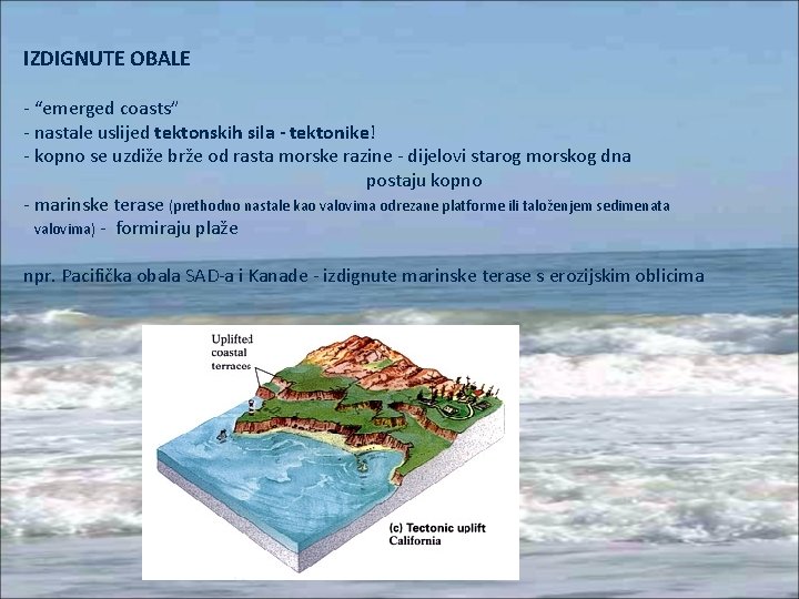 IZDIGNUTE OBALE - “emerged coasts” - nastale uslijed tektonskih sila - tektonike! - kopno