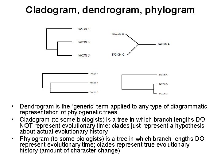 Cladogram, dendrogram, phylogram • Dendrogram is the ‘generic’ term applied to any type of