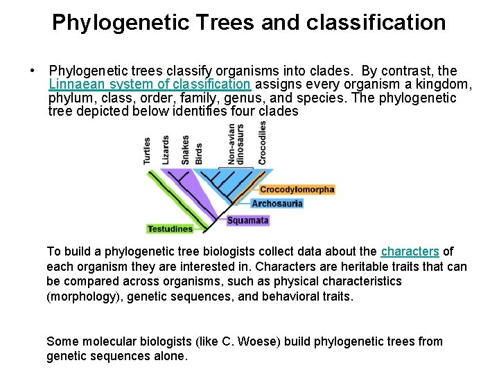 Phylogenetic Trees and classification • Phylogenetic trees classify organisms into clades. By contrast, the