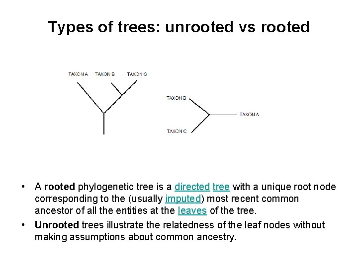 Types of trees: unrooted vs rooted • A rooted phylogenetic tree is a directed