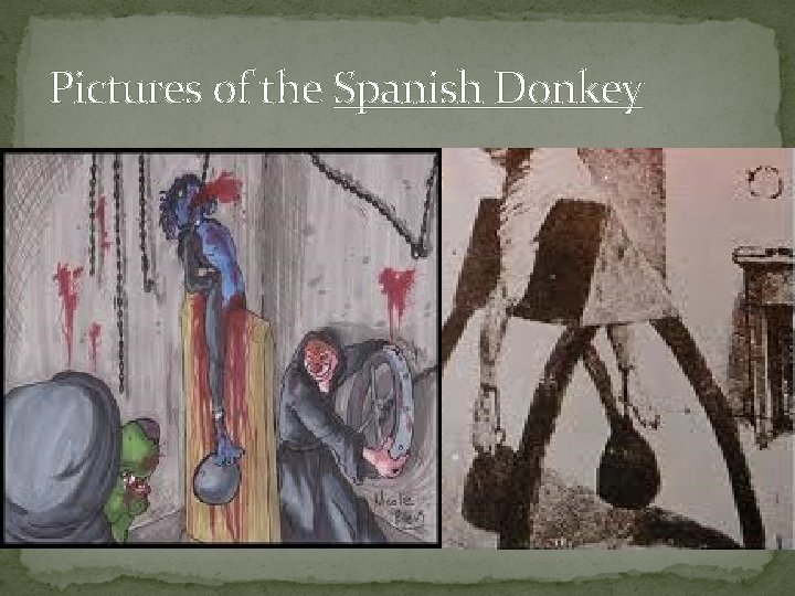Pictures of the Spanish Donkey 