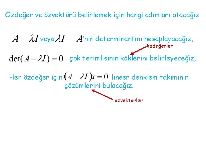 Özdeğer ve özvektörü belirlemek için hangi adımları atacağız veya ‘nın determinantını hesaplayacağız, özdeğerler çok
