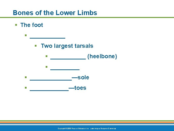 Bones of the Lower Limbs § The foot § ______ § Two largest tarsals