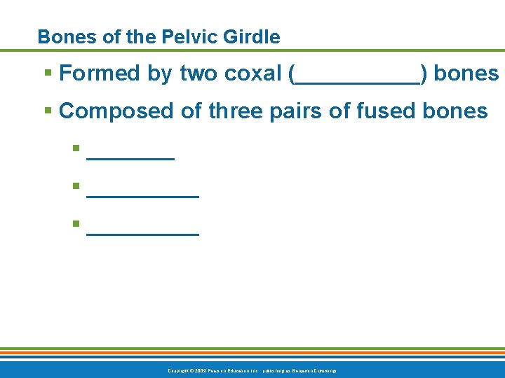 Bones of the Pelvic Girdle § Formed by two coxal (_____) bones § Composed