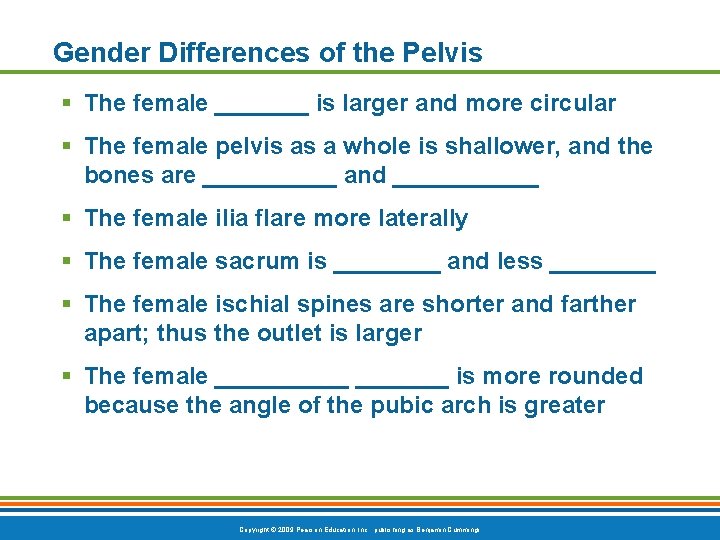 Gender Differences of the Pelvis § The female _______ is larger and more circular