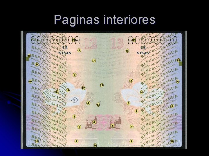 Paginas interiores 