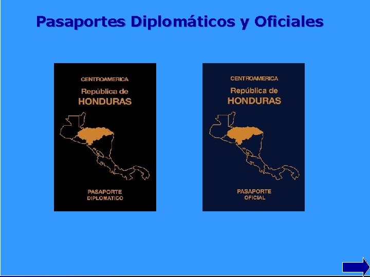 Pasaportes Diplomáticos y Oficiales 