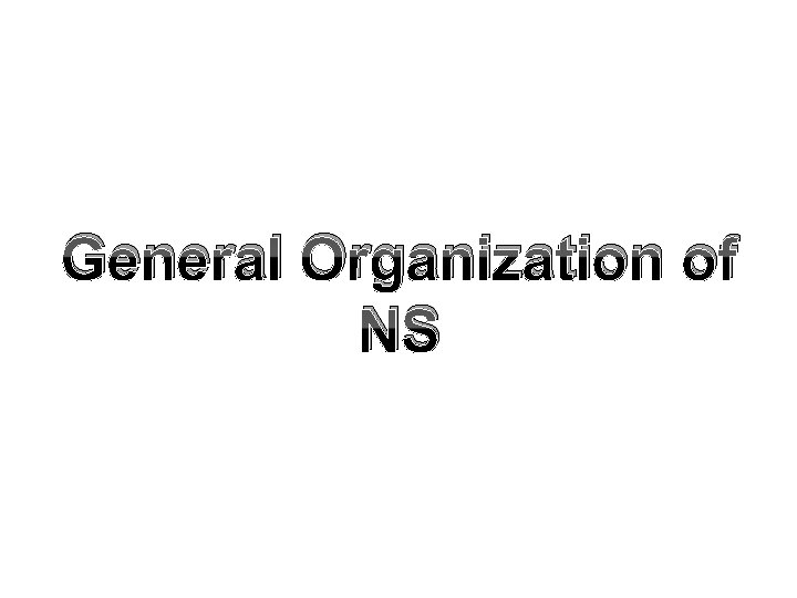 General Organization of NS 
