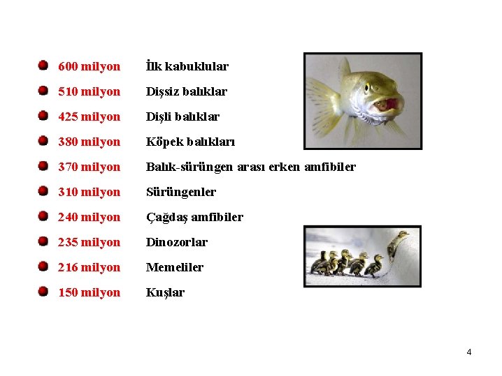 600 milyon İlk kabuklular 510 milyon Dişsiz balıklar 425 milyon Dişli balıklar 380 milyon