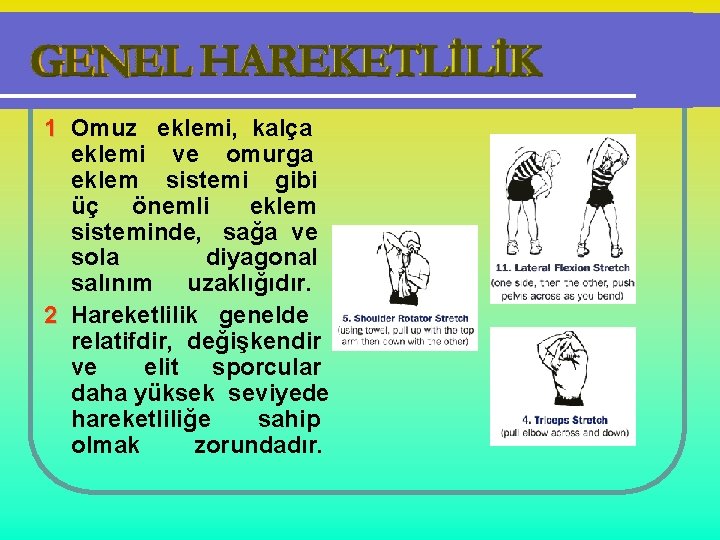 1 Omuz eklemi, kalça eklemi ve omurga eklem sistemi gibi üç önemli eklem sisteminde,