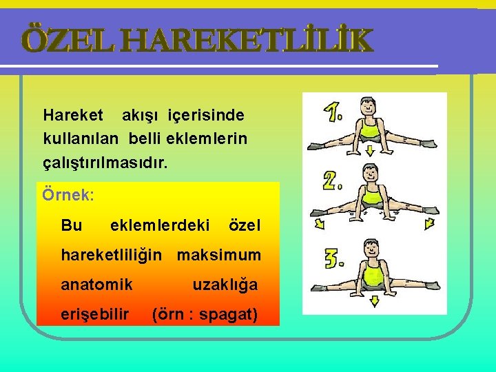 Hareket akışı içerisinde kullanılan belli eklemlerin çalıştırılmasıdır. Örnek: Bu eklemlerdeki özel hareketliliğin maksimum anatomik