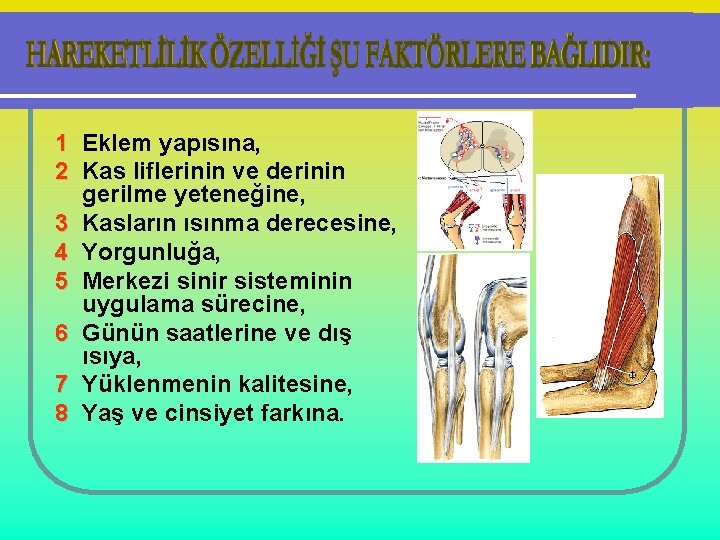 1 Eklem yapısına, 2 Kas liflerinin ve derinin gerilme yeteneğine, 3 Kasların ısınma derecesine,