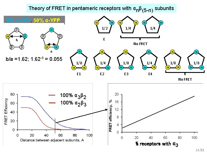 Theory of FRET in pentameric receptors with αnβ(5 -n) subunits 50% α-CFP, 50% α-YFP