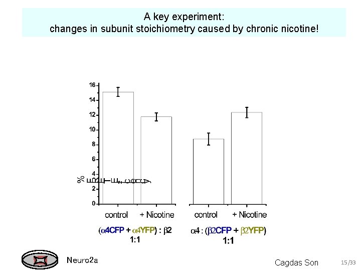 A key experiment: changes in subunit stoichiometry caused by chronic nicotine! Neuro 2 a