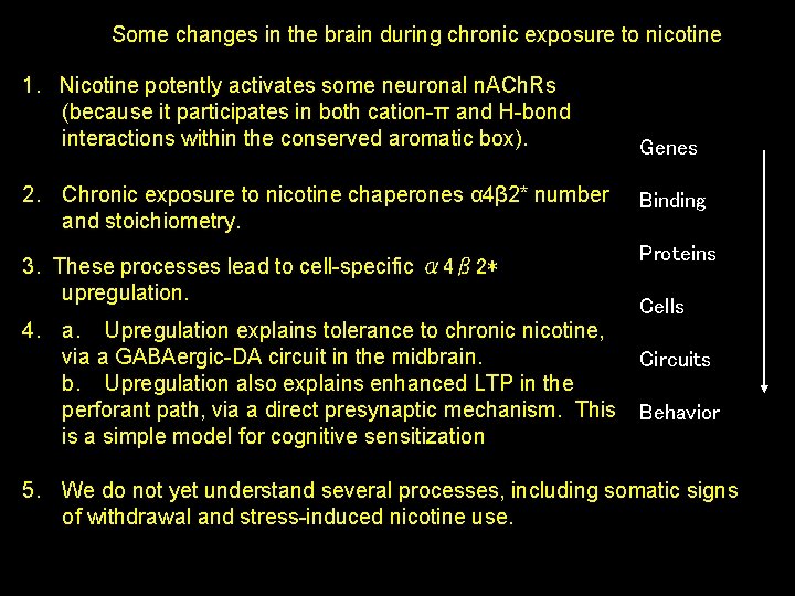 Some changes in the brain during chronic exposure to nicotine 1. Nicotine potently activates