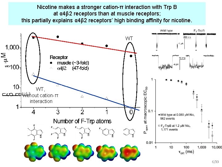 Nicotine makes a stronger cation-π interaction with Trp B at α 4β 2 receptors