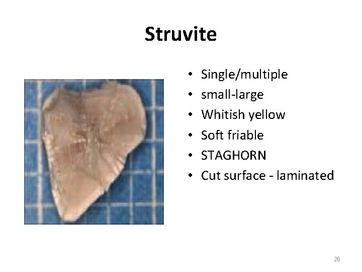 Struvite • • • Single/multiple small-large Whitish yellow Soft friable STAGHORN Cut surface -