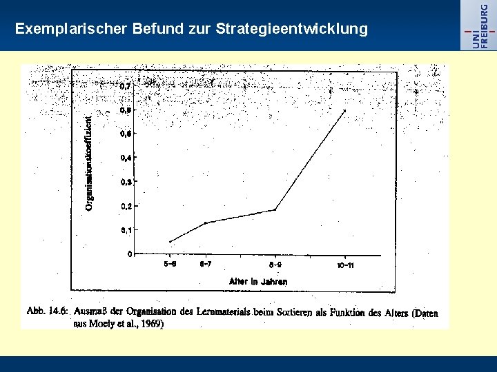 Exemplarischer Befund zur Strategieentwicklung 