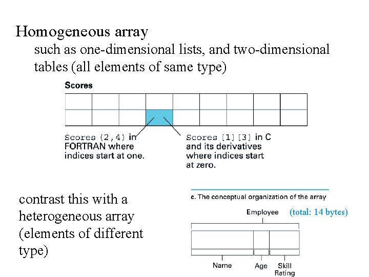 Homogeneous array such as one-dimensional lists, and two-dimensional tables (all elements of same type)