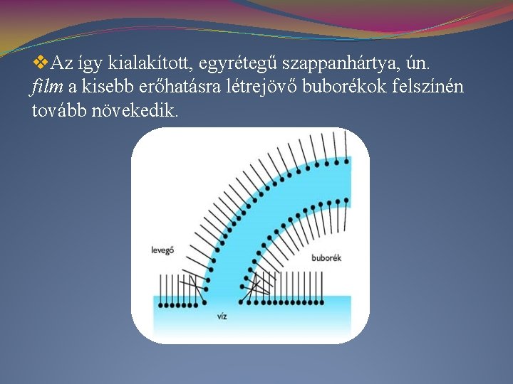 v. Az így kialakított, egyrétegű szappanhártya, ún. film a kisebb erőhatásra létrejövő buborékok felszínén
