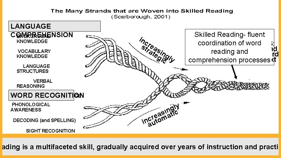 LANGUAGE COMPREHENSION BACKGROUND KNOWLEDGE VOCABULARY KNOWLEDGE LANGUAGE STRUCTURES inc strrea atesin gicgly Skilled Reading-