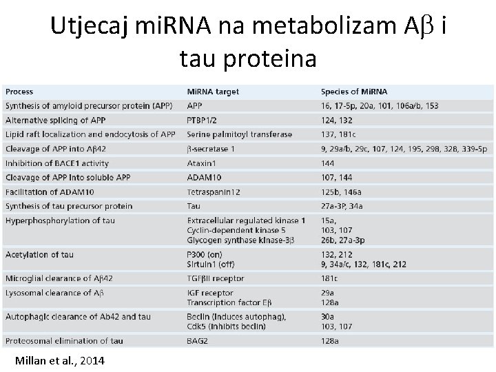 Utjecaj mi. RNA na metabolizam A i tau proteina Millan et al. , 2014