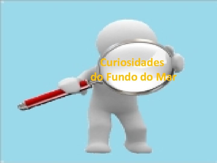 Curiosidades do Fundo do Mar 