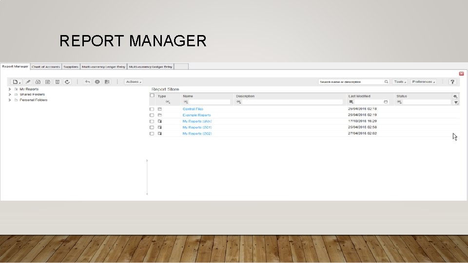 REPORT MANAGER 