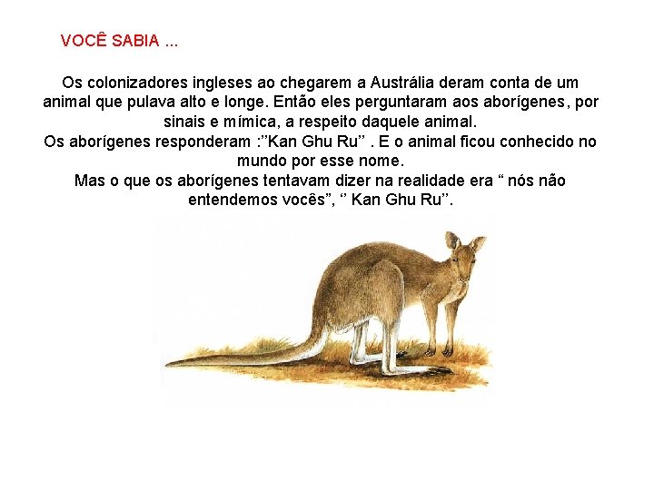 VOCÊ SABIA. . . SABIAS QUE… Os colonizadores ingleses ao chegarem a Austrália deram