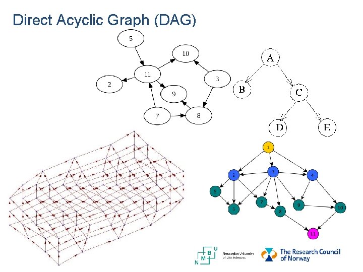Direct Acyclic Graph (DAG) 