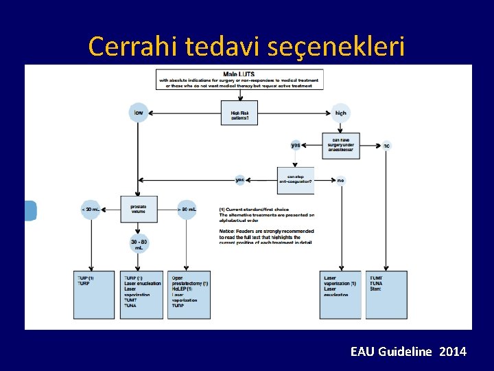 Cerrahi tedavi seçenekleri EAU Guideline 2014 
