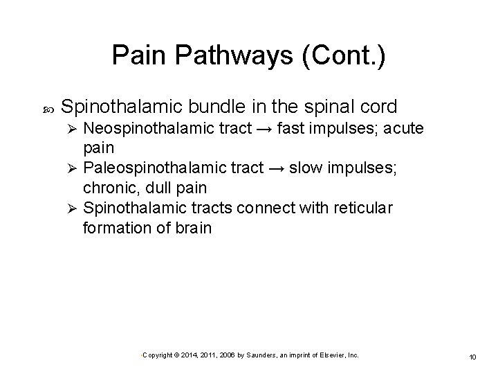 Pain Pathways (Cont. ) Spinothalamic bundle in the spinal cord Neospinothalamic tract → fast