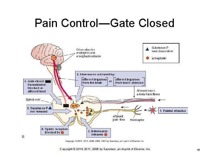 Pain Control―Gate Closed • Copyright © 2014, 2011, 2006 by Saunders, an imprint of