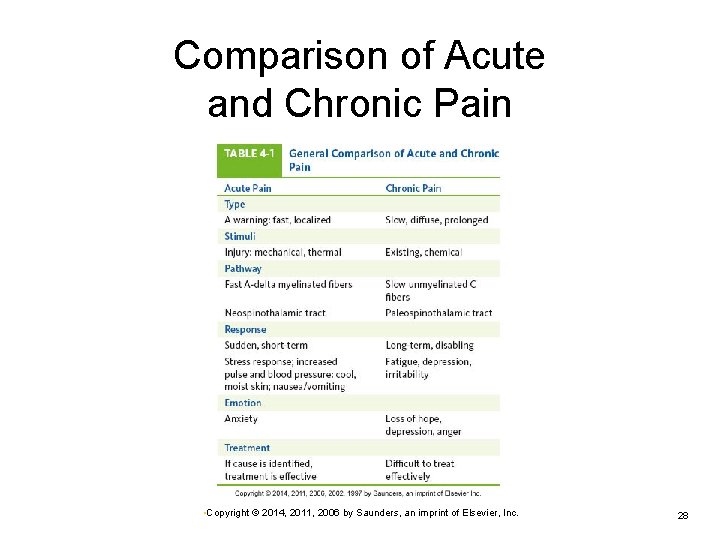 Comparison of Acute and Chronic Pain • Copyright © 2014, 2011, 2006 by Saunders,