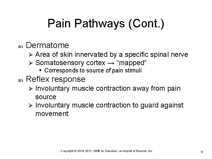 Pain Pathways (Cont. ) Dermatome Ø Ø Area of skin innervated by a specific