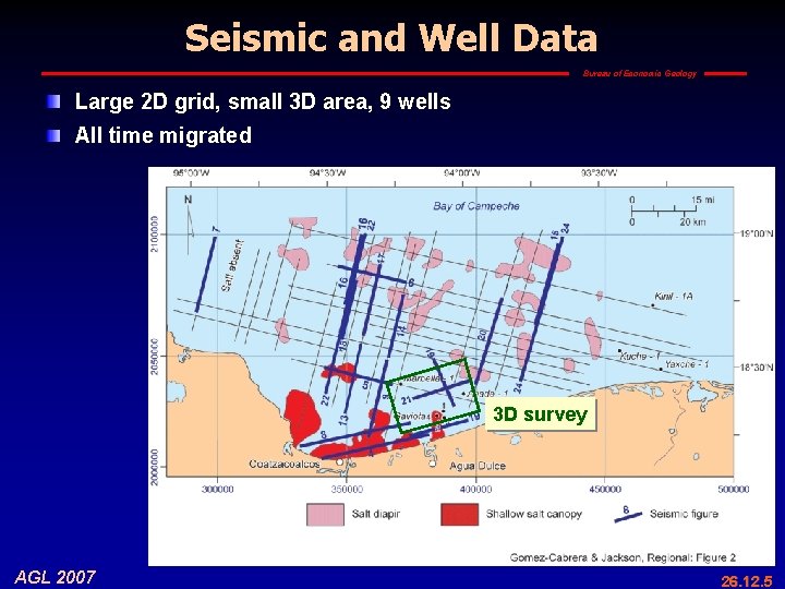 Seismic and Well Data Bureau of Economic Geology Large 2 D grid, small 3