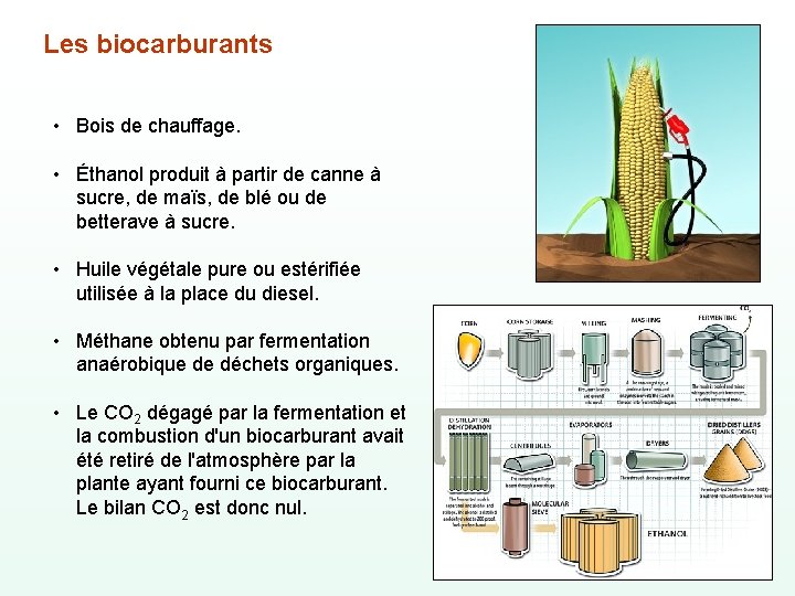 Les biocarburants • Bois de chauffage. • Éthanol produit à partir de canne à