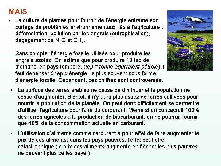 MAIS • La culture de plantes pour fournir de l’énergie entraîne son cortège de