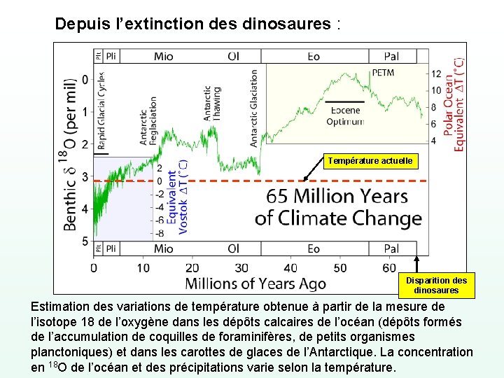 Depuis l’extinction des dinosaures : Température actuelle Disparition des dinosaures Estimation des variations de